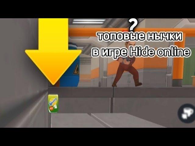 топовые нычки в игре Хайд онлайн