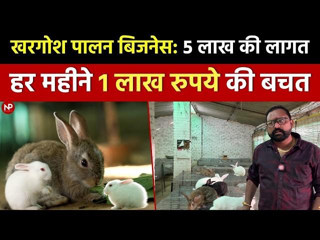 खरगोश पालन बिजनेस- कम लागत में 1 लाख महीने की बचत || Rabbit Farming Business || Small Business Ideas