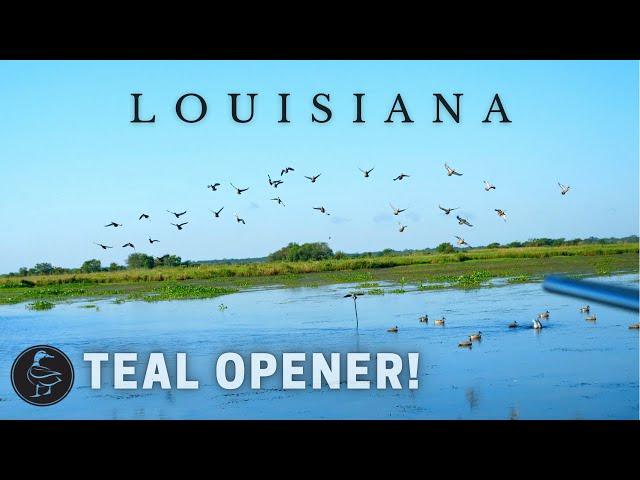 LOUISIANA Teal Season Opening Weekend at the CAMP!