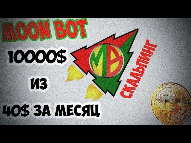 Moon Bot  10000$ с депозита 40$   Интервью от 11 03 2018