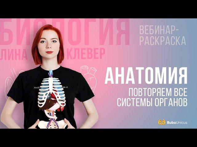 Анатомия  | БИОЛОГИЯ ЕГЭ | Лина Клевер