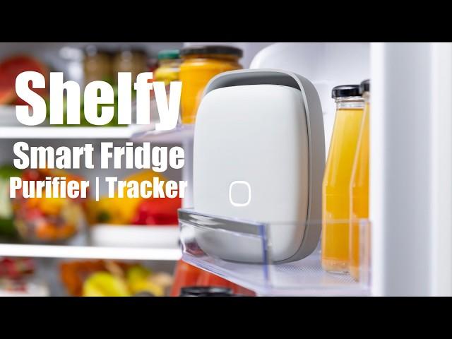 First Look: Shelfy Smart Refrigerator Purifier - Extends Food Freshness and Removes Bad Odors?