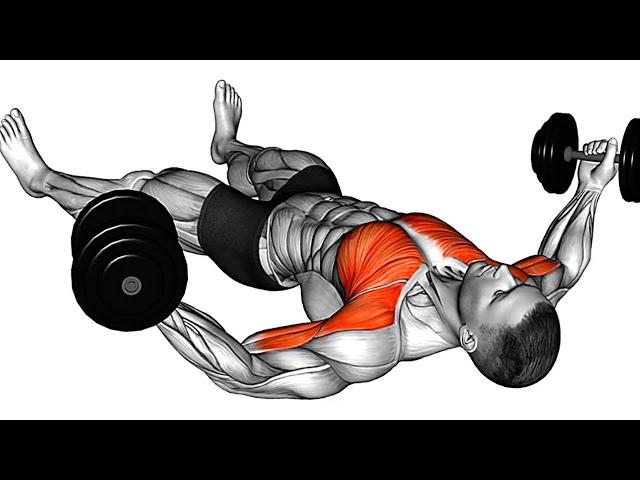 7 best chest exercise / chest workout