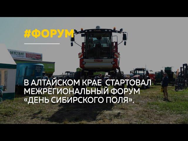 В Алтайском крае проходит форум "День сибирского поля – 2024"