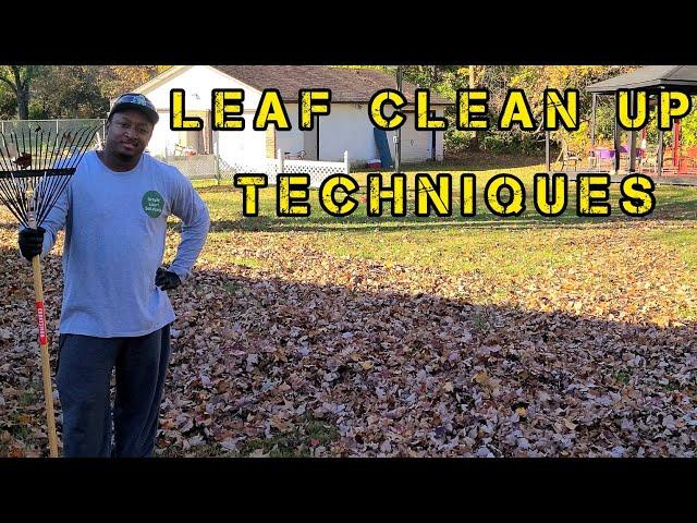 The BEST Leaf Clean-up Techniques