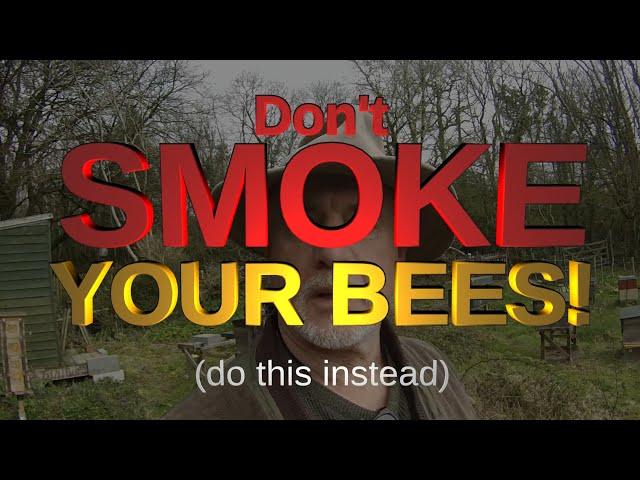 Don't smoke your bees! Do this instead...