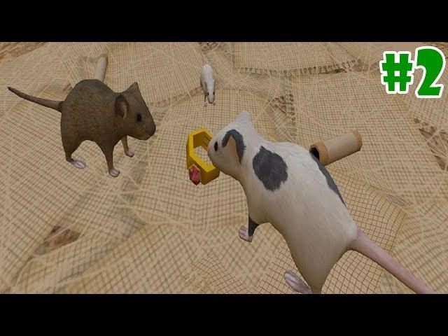 Mouse Simulator : Rat Rodent Animal Life - Raise a Family - Gameplay Episode 2