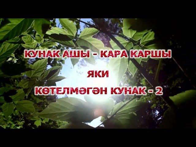 Котелмэгэн кунак 2 Тиздэн | ТНВ