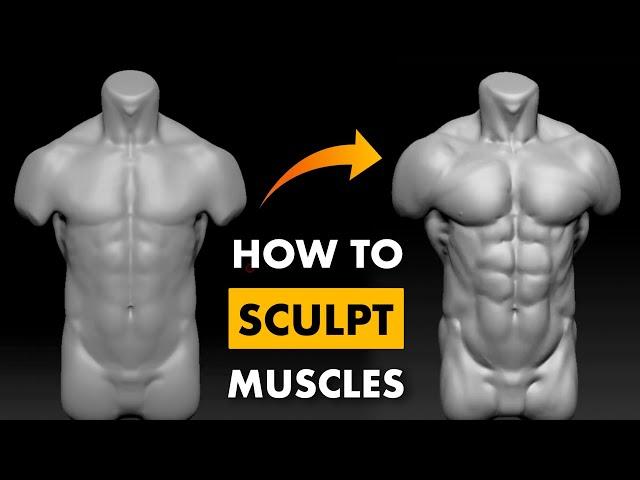 How To Sculpt a Muscular Body