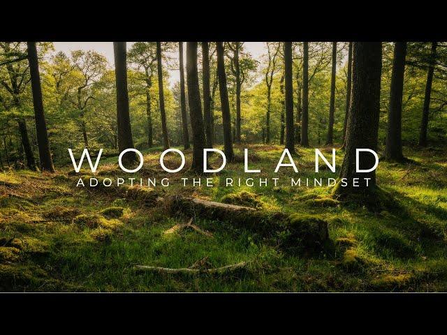 Woodland Photography - A Valuable Lesson for All Landscape Photographers