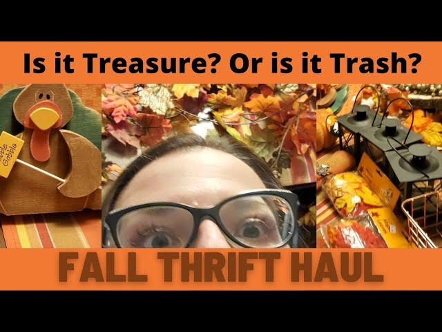 Treasure or Trash? • Thrift Haul #2 • Decor, Clothes and More!!