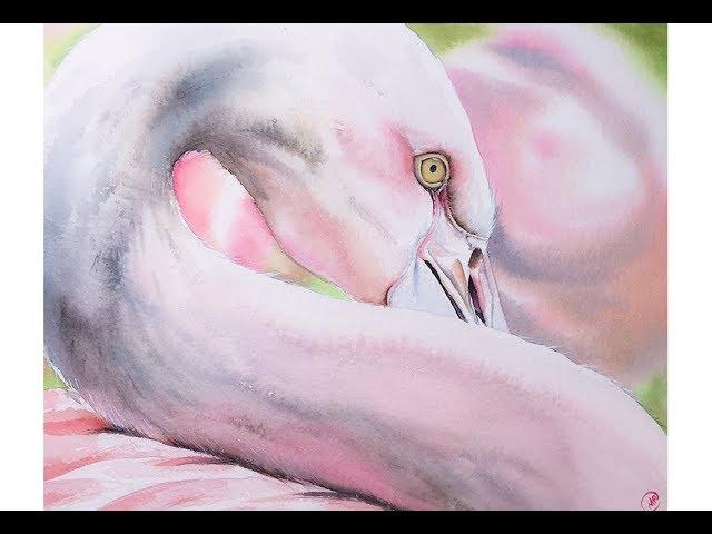 Watercolor Flamingo Painting Demo