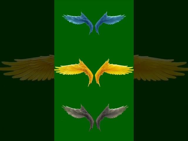 Birds Winks VFX In Video Edit #picsart #vfx