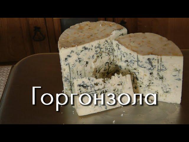 Горгонзола - сыр с голубой плесенью своими руками