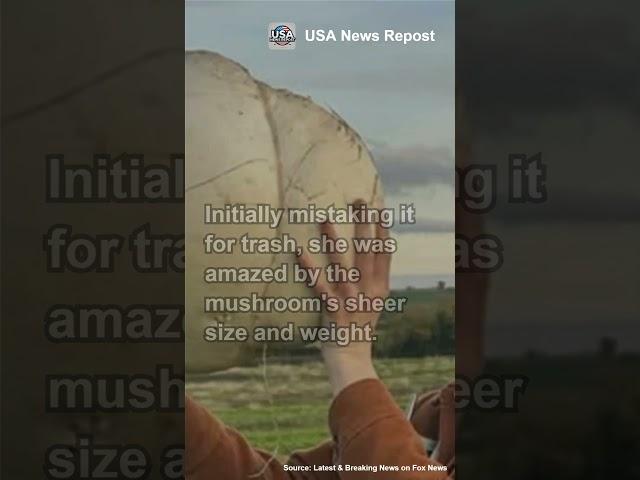 Woman Feeds Family for a Week with Giant 11 Pound Mushroom #usa #usnews