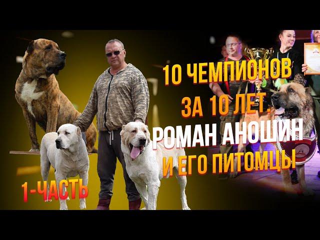 10 чемпионов за 10 лет. Роман Аношин и его питомцы. Часть 1