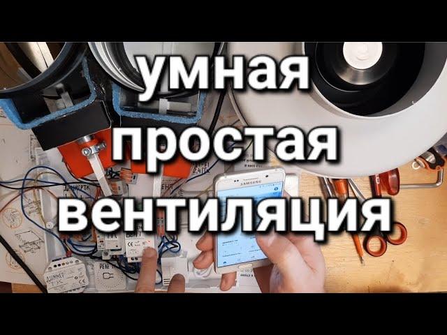 умная простая вентиляция с тихой кухней (вытяжкой) управление Алисой