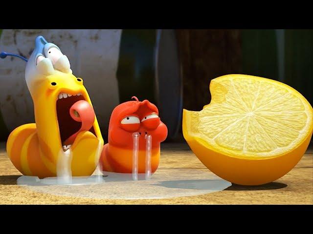 LARVA - LEMON | 2017 Cartoon | Videos For Kids | Kids TV Shows Full Episodes