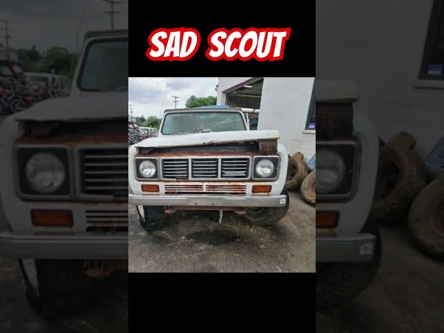 International Scout #truck #trucks #automobile #offroad #4x4 #4x4offroad  #vintage #car #cars