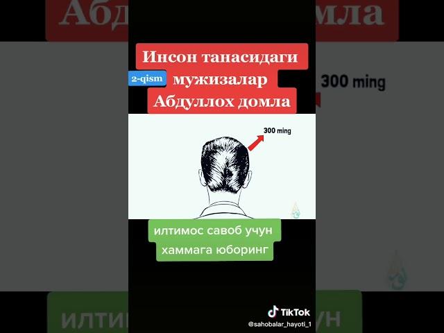 инсон танасидаги мужизалар