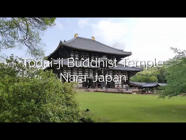 Todaiji Temple - Japan's Most Impressive Temple in Nara