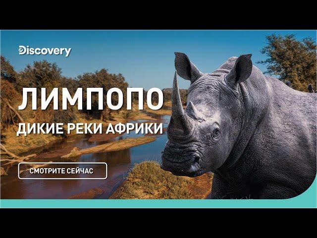 Лимпопо  |  Дикие реки Африки  - Discovery Документальный фильм.