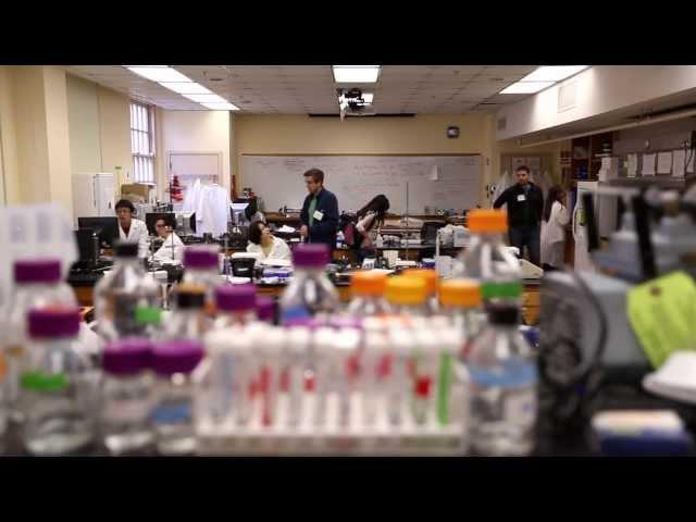 The Freshman Research Initiative at UT Austin