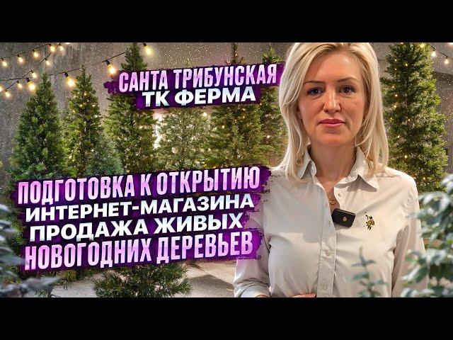 ПРОДАЖА ЖИВЫХ НОВОГОДНИХ ДЕРЕВЬЕВ. ПОДГОТОВКА