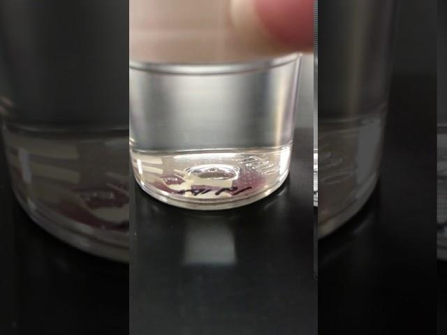 Animal Jar Lab: Nematodes (roundworms)