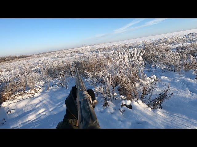 Трудовая Охота на зайца в -25  Удача была на моей стороне Мр-155 в деле! hunting and fishing