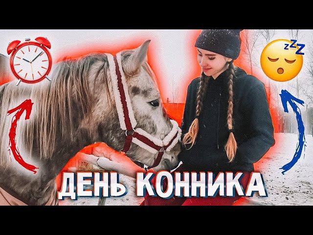 Как Проходит ДЕНЬ КОННИКА? / VLOG конюшня