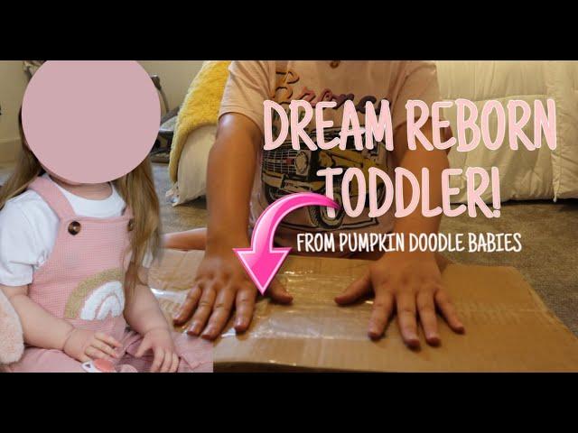 UNBOXING DREAM REBORN TODDLER from PUMPKIN DOODLE BABIES! NAME and FACE REVEAL!