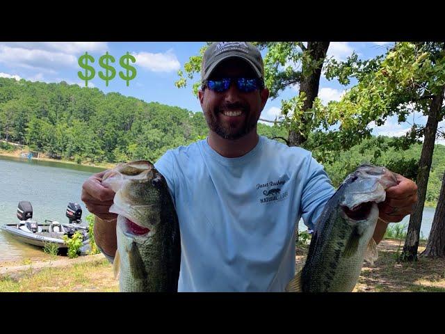 Green Fish and Green Backs - Lake Degray