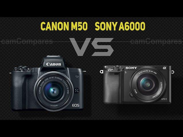 Canon M50 vs Sony A6000  [Camera Battle]