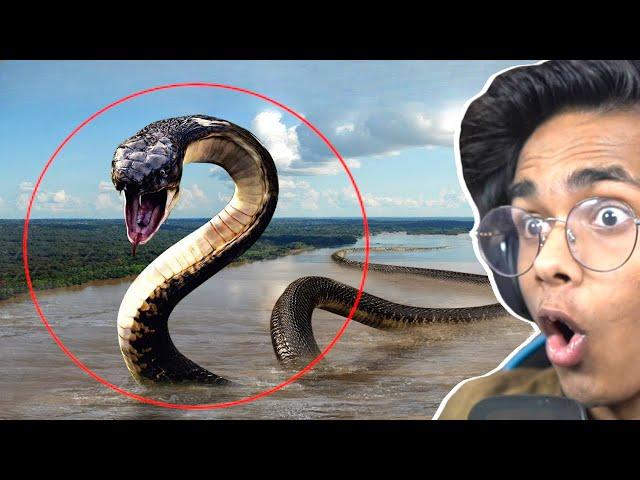 Mysteries of World's Biggest Snake - Titanoboa