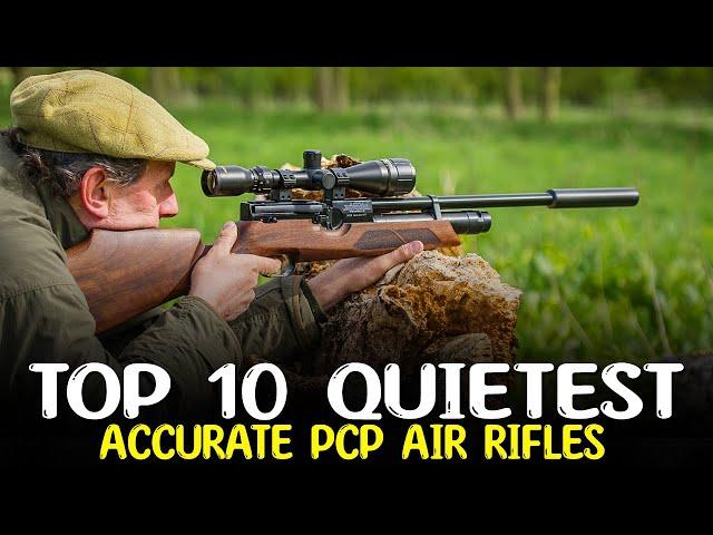 Top 10 Quietest Accurate Air Rifles - Best PCP Air Guns for Hunting