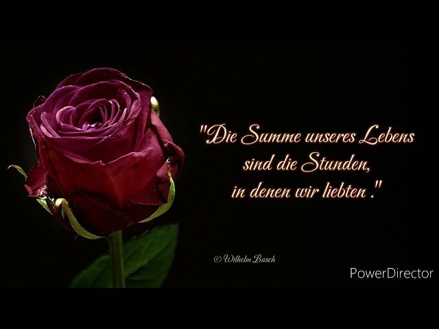 Zitate und Weisheiten ️über die Liebe berühmter Persönlichkeiten ️