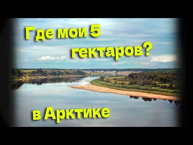 Показываю, где мои 5 гектаров в "Арктическом гектаре"