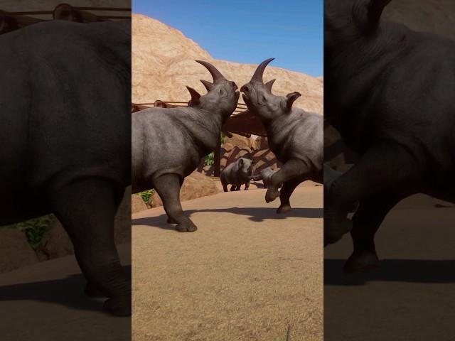 Watch this EPIC Fight Between Black Rhinos in Planet Zoo