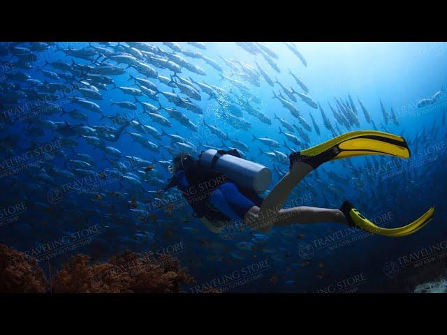 ЭКСКУРСИЯ ДАЙВИНГ В КЕМЕРЕ - EXCURSION TO DIVING IN KEMER