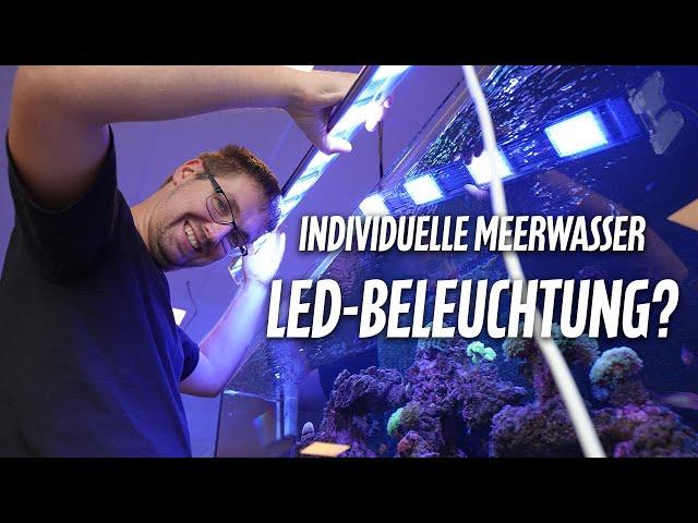 MEERWASSER-LED individuell gestalten? - Wir testen die DAYTIME MATRIX LED *PlanktonPlus Aquaristik*