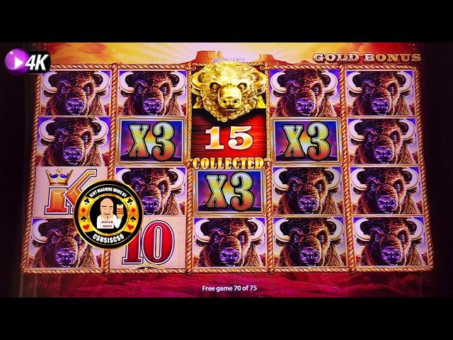 ALL 15 GOLD HEADS - The Buffalo King Hits HUGE JACKPOT