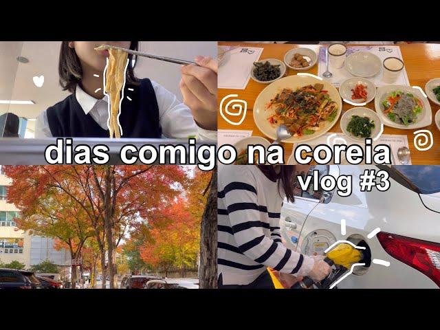 dias comigo na coreia vlog #3  | escola, acad, daiso, comida etc