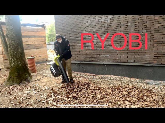 Обзор Пылесоса-воздуходувки электрической Ryobi RBV3000CESV