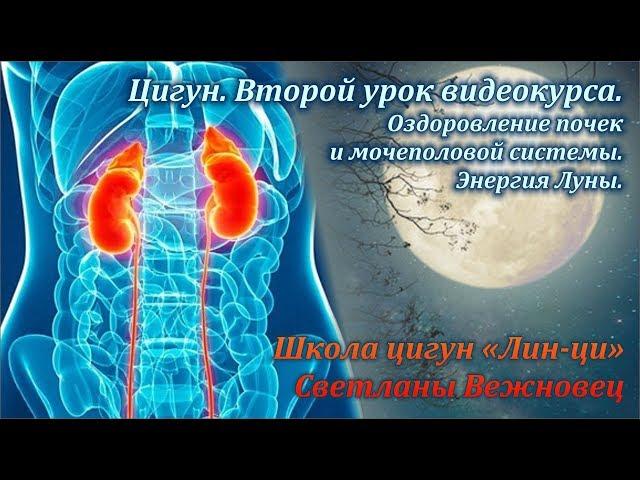 Цигун. Второй урок видеокурса. Оздоровление почек и мочеполовой системы. Энергия Луны.