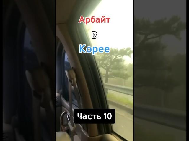 Продолжение Арбайта в южной Корее  #корея #путешествия #кореясеул #арбайт #работавкорее