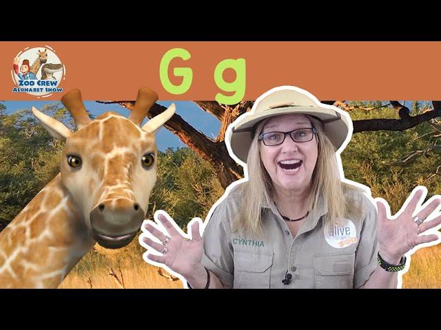 Zoo Crew Alphabet Show | Giraffes and Letter G