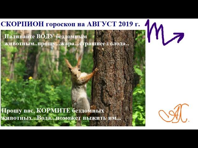 Скорпион гороскоп на АВГУСТ 2019 г.