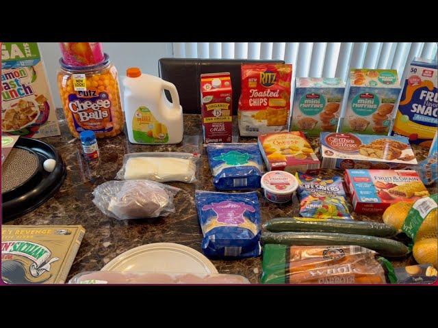 Weekly Haul from Chewy, Aldi, Walmart, Amazon & My Local Grocery Store  #haulvideo #aldi  #amazon