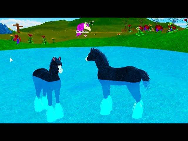 Baby Pegasus Foal & Friends - Horse Heart Let's Play Online Roblox Horses Game